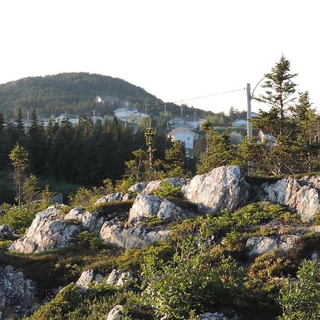 North 99 Motel Twillingate Zewnętrze zdjęcie