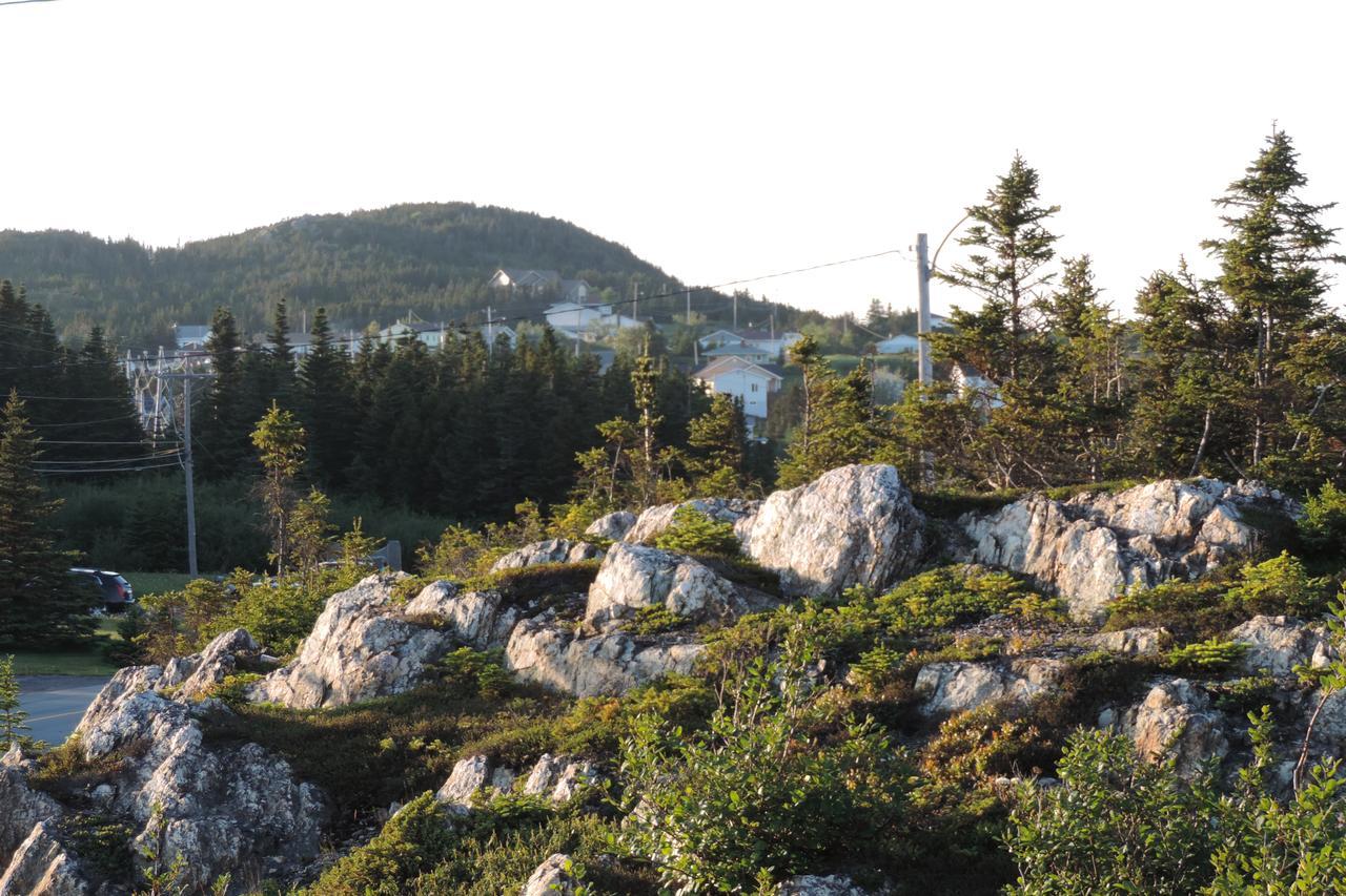 North 99 Motel Twillingate Zewnętrze zdjęcie